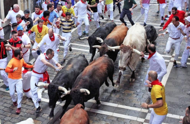 Imágenes del segundo encierro de los sanfermines 2019 protagonizado por toros de Cebada Gago.
