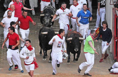 Imágenes del segundo encierro de los sanfermines 2019 protagonizado por toros de Cebada Gago.