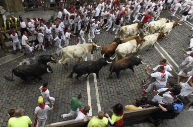 Imágenes del segundo encierro de los sanfermines 2019 protagonizado por toros de Cebada Gago.