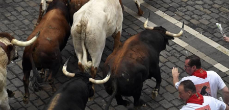 Imágenes del segundo encierro de los sanfermines 2019 protagonizado por toros de Cebada Gago.