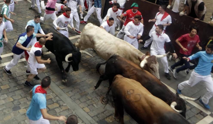 Imágenes del segundo encierro de los sanfermines 2019 protagonizado por toros de Cebada Gago.