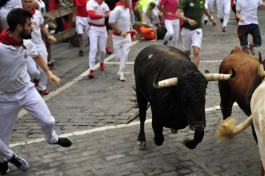 Imágenes del segundo encierro de los sanfermines 2019 protagonizado por toros de Cebada Gago.