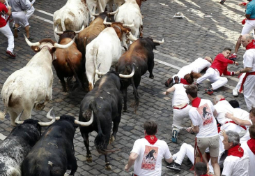 Imágenes del segundo encierro de los sanfermines 2019 protagonizado por toros de Cebada Gago.