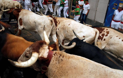 Imágenes del segundo encierro de los sanfermines 2019 protagonizado por toros de Cebada Gago.
