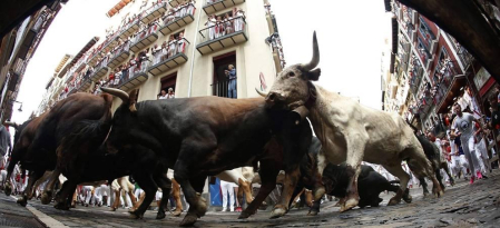 Imágenes del segundo encierro de los sanfermines 2019 protagonizado por toros de Cebada Gago.
