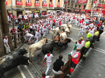 Imágenes del segundo encierro de los sanfermines 2019 protagonizado por toros de Cebada Gago.