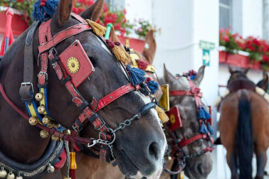 Fotos de la corrida con toros de la ganadería de José Escolar para los diestros Fernando Robleño, Javier Castaño y Pepe Moral