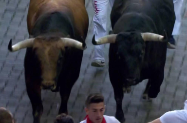 En la bajada al callejón el toro colorado 'Curioso', que ha ido cerrando el grupo desde Santo Domingo, ha ocasionado gran riesgo a varios mozos situados junto al vallado derecho del recorrido.