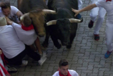 En la bajada al callejón el toro colorado 'Curioso', que ha ido cerrando el grupo desde Santo Domingo, ha ocasionado gran riesgo a varios mozos situados junto al vallado derecho del recorrido.