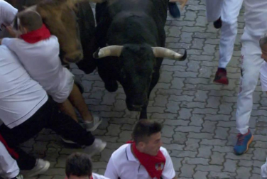 En la bajada al callejón el toro colorado 'Curioso', que ha ido cerrando el grupo desde Santo Domingo, ha ocasionado gran riesgo a varios mozos situados junto al vallado derecho del recorrido.