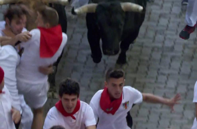 En la bajada al callejón el toro colorado 'Curioso', que ha ido cerrando el grupo desde Santo Domingo, ha ocasionado gran riesgo a varios mozos situados junto al vallado derecho del recorrido.