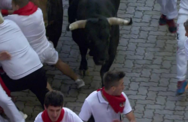 En la bajada al callejón el toro colorado 'Curioso', que ha ido cerrando el grupo desde Santo Domingo, ha ocasionado gran riesgo a varios mozos situados junto al vallado derecho del recorrido.