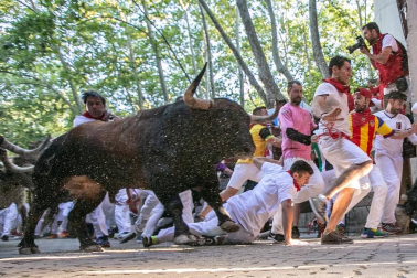 Imágenes del sexto encierro de los sanfermines 2019 protagonizado por toros de Núñez del Cuvillo.