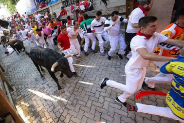Imágenes del sexto encierro de los sanfermines 2019 protagonizado por toros de Núñez del Cuvillo.
