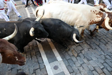 Imágenes del sexto encierro de los sanfermines 2019 protagonizado por toros de Núñez del Cuvillo.