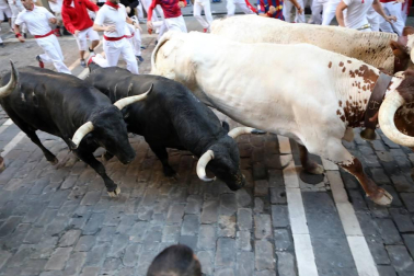 Imágenes del sexto encierro de los sanfermines 2019 protagonizado por toros de Núñez del Cuvillo.