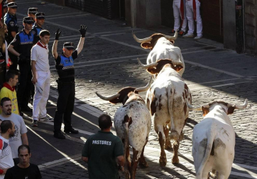 Imágenes del sexto encierro de los sanfermines 2019 protagonizado por toros de Núñez del Cuvillo.