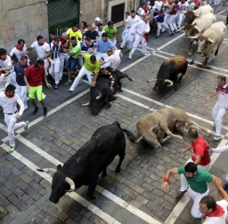 Momentos de tensión cuando el morlaco jabonero de la ganadería de Núñez del Cuvillo perdió pie en la calle Estafeta y cayó al suelo, rodeado de mozos.