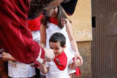 Fotos del recorrido de los gigantes y cabezudos de Pamplona del día 9 de julio de San Fermín 2019