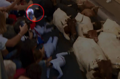 'Palmero' ha propiciado los momentos de mayor riesgo de la carrera cuando ha embestido a un grupo de mozos en la Cuesta de Santo Domingo. Ha dejado una herida por asta en la pierna izquierda a un mozo