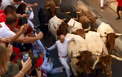 'Palmero' ha propiciado los momentos de mayor riesgo de la carrera cuando ha embestido a un grupo de mozos en la Cuesta de Santo Domingo. Ha dejado una herida por asta en la pierna izquierda a un mozo