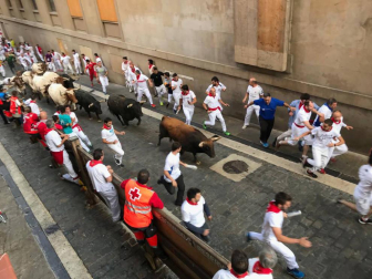 Imágenes del séptimo encierro de los Sanfermines 2019 protagonizado por toros de La Palmosilla.