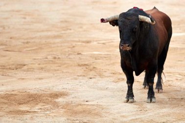 Imágenes de la corrida en la plaza de toros de Pamplona con reses de la ganadería de La Palmosilla para los diestros José Garrido, Luis David Adame y Javier Marín