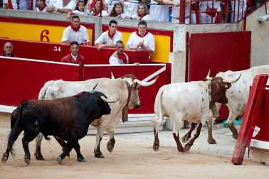 Imágenes de la corrida en la plaza de toros de Pamplona con reses de la ganadería de La Palmosilla para los diestros José Garrido, Luis David Adame y Javier Marín