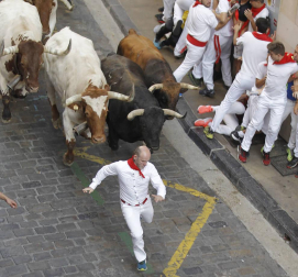 Imágenes del séptimo encierro de los Sanfermines 2019 protagonizado por toros de La Palmosilla.