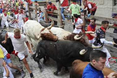 Imágenes del séptimo encierro de los Sanfermines 2019 protagonizado por toros de La Palmosilla.