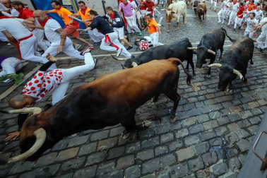 Imágenes del séptimo encierro de los Sanfermines 2019 protagonizado por toros de La Palmosilla.