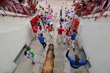 Imágenes del séptimo encierro de los Sanfermines 2019 protagonizado por toros de La Palmosilla.