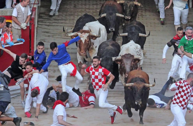 Imágenes del séptimo encierro de los Sanfermines 2019 protagonizado por toros de La Palmosilla.