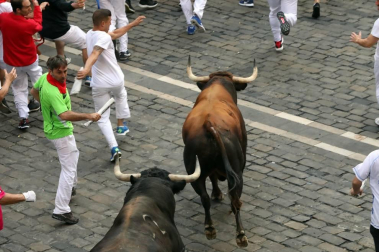 Imágenes del séptimo encierro de los Sanfermines 2019 protagonizado por toros de La Palmosilla.