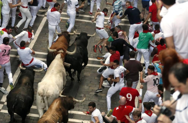 Imágenes del séptimo encierro de los Sanfermines 2019 protagonizado por toros de La Palmosilla.