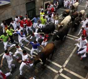 Imágenes del séptimo encierro de los Sanfermines 2019 protagonizado por toros de La Palmosilla.