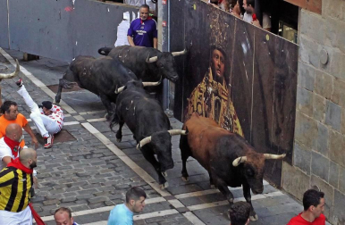 Imágenes del séptimo encierro de los Sanfermines 2019 protagonizado por toros de La Palmosilla.