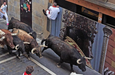 Imágenes del séptimo encierro de los Sanfermines 2019 protagonizado por toros de La Palmosilla.