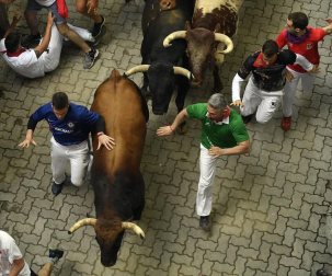 Imágenes del séptimo encierro de los Sanfermines 2019 protagonizado por toros de La Palmosilla.