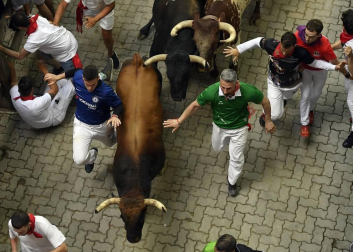 Imágenes del séptimo encierro de los Sanfermines 2019 protagonizado por toros de La Palmosilla.