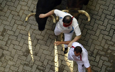 Imágenes del séptimo encierro de los Sanfermines 2019 protagonizado por toros de La Palmosilla.
