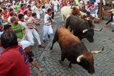 Imágenes del séptimo encierro de los Sanfermines 2019 protagonizado por toros de La Palmosilla.