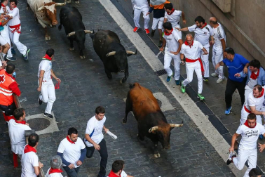 Imágenes del séptimo encierro de los Sanfermines 2019 protagonizado por toros de La Palmosilla.