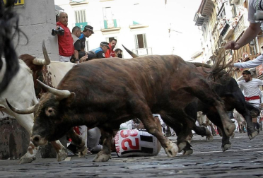Imágenes del séptimo encierro de los Sanfermines 2019 protagonizado por toros de La Palmosilla.