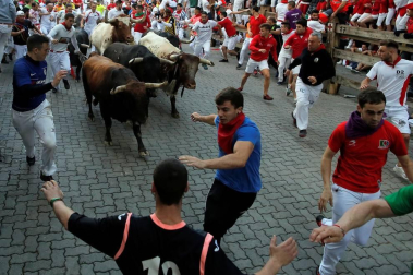 Imágenes del séptimo encierro de los Sanfermines 2019 protagonizado por toros de La Palmosilla.