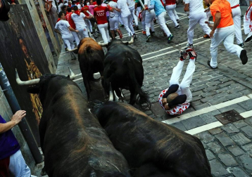 Imágenes del séptimo encierro de los Sanfermines 2019 protagonizado por toros de La Palmosilla.