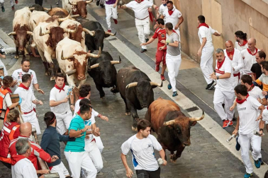 Imágenes del séptimo encierro de los Sanfermines 2019 protagonizado por toros de La Palmosilla.