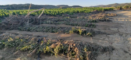 Los alcaldes de once de los catorce municipios incluidos en la zona catastrófica por las lluvias torrenciales y las riadas en la Zona Media se centraban en las trabas que el departamento de Medio Ambiente viene poniendo al arreglo de los barrancos y la limpieza del cauce de los ríos.