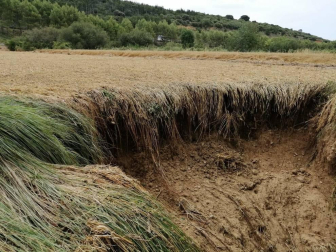 Los alcaldes de once de los catorce municipios incluidos en la zona catastrófica por las lluvias torrenciales y las riadas en la Zona Media se centraban en las trabas que el departamento de Medio Ambiente viene poniendo al arreglo de los barrancos y la limpieza del cauce de los ríos.