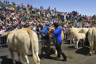 Ceremonia del tributo de las tres vacas
